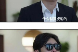 于田遇到恶意拖欠？专业追讨公司帮您解决烦恼